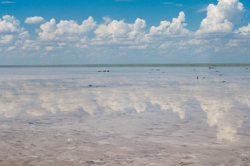 Соленое озеро в волгоградской области эльтон фото